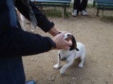 20101010-Gwen_120