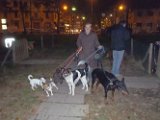 20101030-Gwen_126