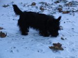 20101218-Gwen_127