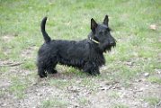 20110310_Gwenda e amici_004
