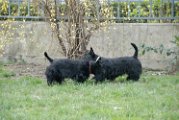 20110310_Gwenda e amici_005