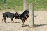 20110310_Gwenda e amici_006