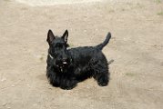 20110310_Gwenda e amici_007