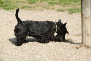 20110310_Gwenda e amici_009