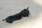 20110310_Gwenda e amici_010