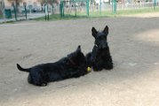 20110310_Gwenda e amici_011