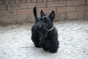 20110310_Gwenda e amici_012