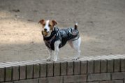 20110310_Gwenda e amici_022