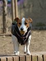 20110310_Gwenda e amici_024