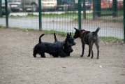 20110310_Gwenda e amici_026