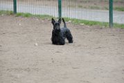 20110310_Gwenda e amici_027