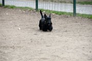 20110310_Gwenda e amici_028