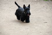 20110310_Gwenda e amici_029