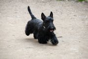 20110310_Gwenda e amici_030