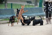20110310_Gwenda e amici_031