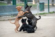 20110310_Gwenda e amici_032