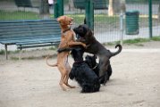 20110310_Gwenda e amici_033