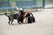 20110310_Gwenda e amici_035
