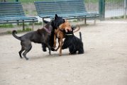 20110310_Gwenda e amici_036