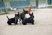 20110310_Gwenda e amici_037
