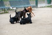 20110310_Gwenda e amici_038