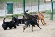 20110310_Gwenda e amici_039