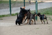 20110310_Gwenda e amici_040