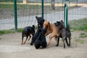 20110310_Gwenda e amici_041