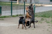 20110310_Gwenda e amici_042