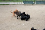 20110310_Gwenda e amici_043