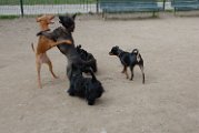 20110310_Gwenda e amici_044