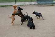 20110310_Gwenda e amici_045