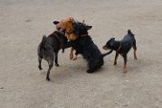 20110310_Gwenda e amici_046