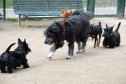 20110310_Gwenda e amici_047
