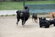 20110310_Gwenda e amici_048