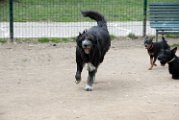 20110310_Gwenda e amici_049
