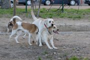 20110320 Casper_002