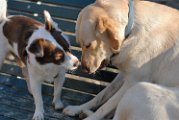 20110320 Casper_003