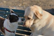 20110320 Casper_004