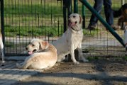 20110320 Casper_005