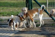 20110320 Casper_006