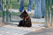 20110320 Gwendoline_002