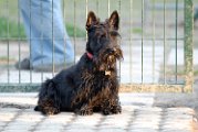 20110320 Gwendoline_003