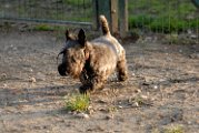 20110320 King_001