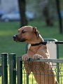 20110320 Michel_006