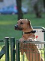20110320 Michel_007