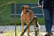 20110320 Michel_009