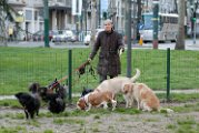 20110320 Paola Grandonico_001