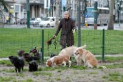 20110320 Paola Grandonico_002