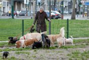 20110320 Paola Grandonico_003